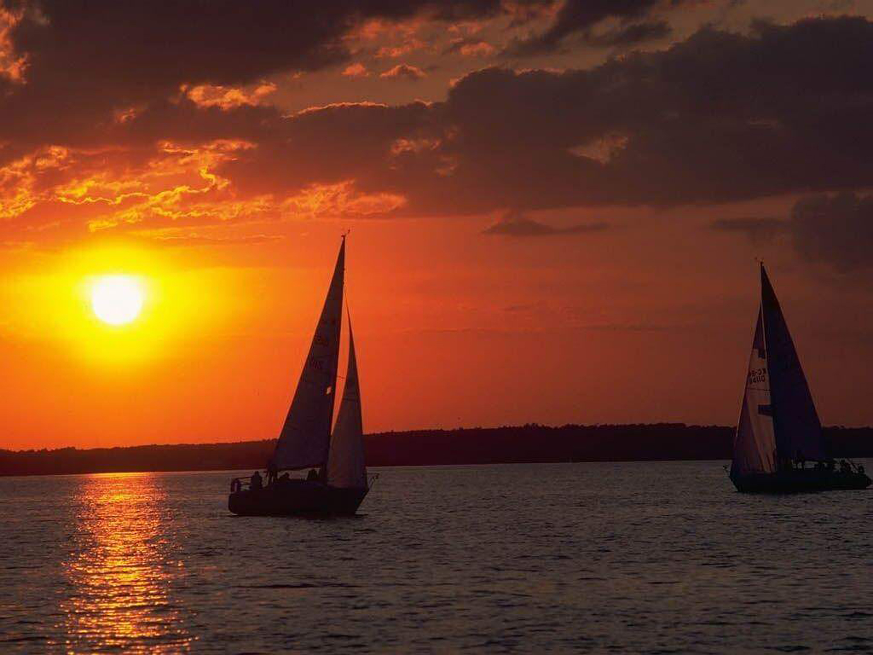 msunsetsailboats.jpg